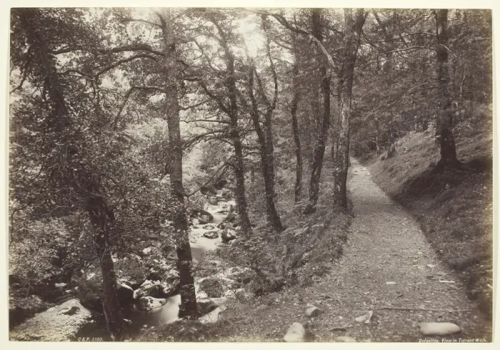 Framed Print : Dolgelley, View in Torrent Walk, 1860 / 94. Creator: Francis Bedford Framed Print : Dolgelley, View in Torrent Walk, 1860 / 94. Creator: Francis Bedford
