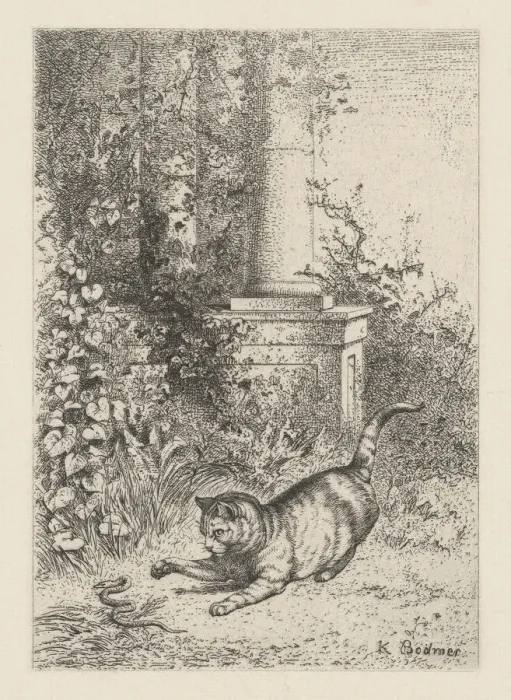 Framed Print : A Domestic Cat Playing with a Garter Snake, ca. 1860. Creator: Karl Bodmer Framed Print : A Domestic Cat Playing with a Garter Snake, ca. 1860. Creator: Karl Bodmer