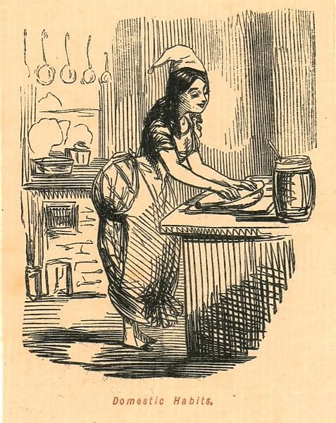 Domestic Habits, 1897. Creator: John Leech