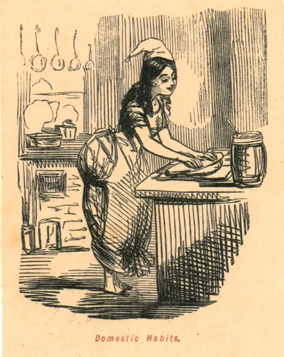 Framed Print : Domestic Habits, 1897. Creator: John Leech Framed Print : Domestic Habits, 1897. Creator: John Leech