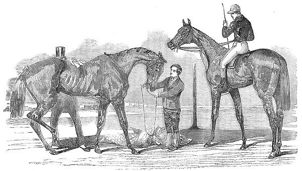 The Doncaster Winners: St. Leger - 'Knight of St. George'; Doncaster Cup - 'Virago', 1854. Creator: Unknown. The Doncaster Winners: St. Leger - 'Knight of St. George'; Doncaster Cup - 'Virago', 1854. Creator: Unknown