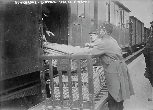 Donkerque [i.e., Dunkerque], shipping carrier pigeons, between c1914 and c1915. Creator: Bain News Service