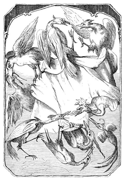 Framed Print : The Donkey Cabbages, 1901. Artist: Edward Henry Wehnert Framed Print : The Donkey Cabbages, 1901. Artist: Edward Henry Wehnert