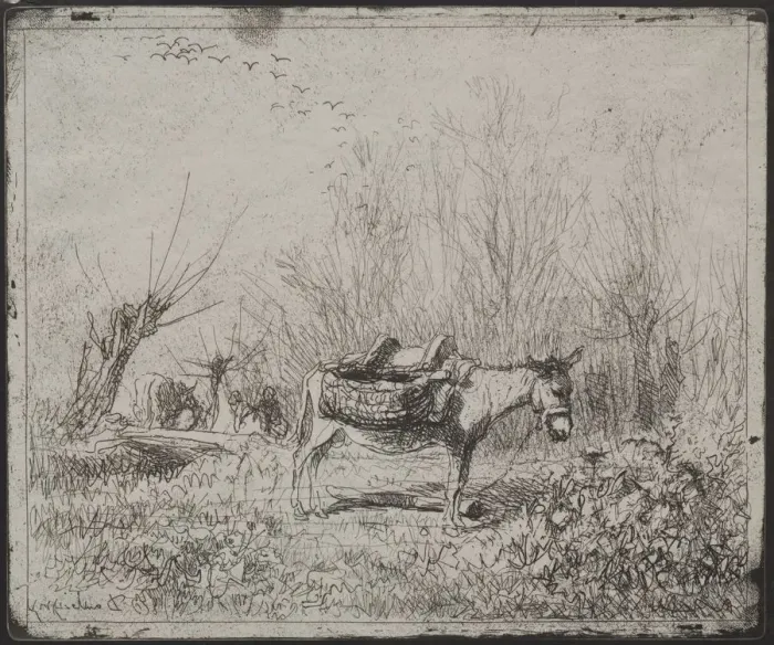 Framed Print : A Donkey in the Field, original impression 1862, printed in 1921 Framed Print : A Donkey in the Field, original impression 1862, printed in 1921