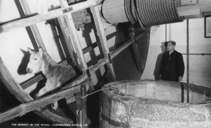 Framed Print : The donkey in the wheel, Carisbrooke Castle, near Newport, Isle of Wight, 20th century Framed Print : The donkey in the wheel, Carisbrooke Castle, near Newport, Isle of Wight, 20th century