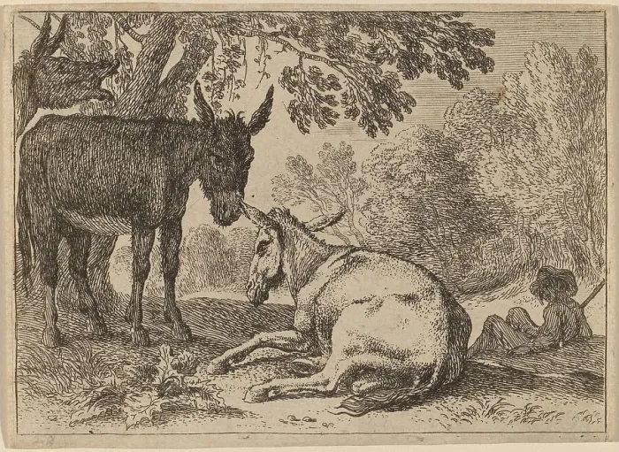 Framed Print : Donkeys. Creator: Herman van Swanevelt Framed Print : Donkeys. Creator: Herman van Swanevelt
