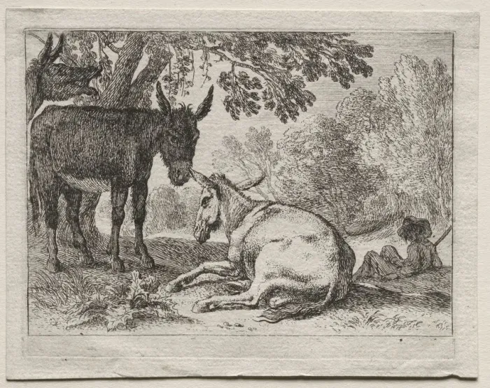 Framed Print : Donkeys. Creator: Herman van Swanevelt (Dutch, c. 1600-1655) Framed Print : Donkeys. Creator: Herman van Swanevelt (Dutch, c. 1600-1655)