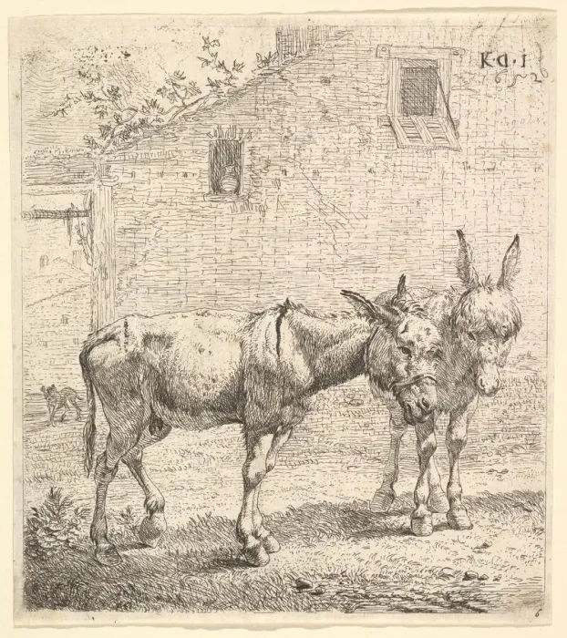 Framed Print : Two donkeys standing in a grassy yard, one in profile view facing right Framed Print : Two donkeys standing in a grassy yard, one in profile view facing right