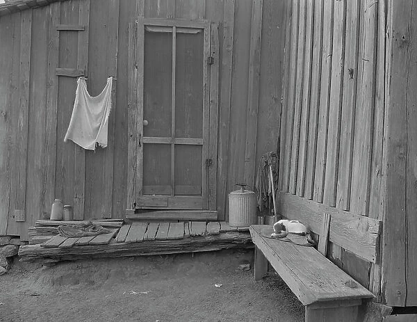 Back door of Texas tenant farmer's house, 1937. Creator: Dorothea Lange