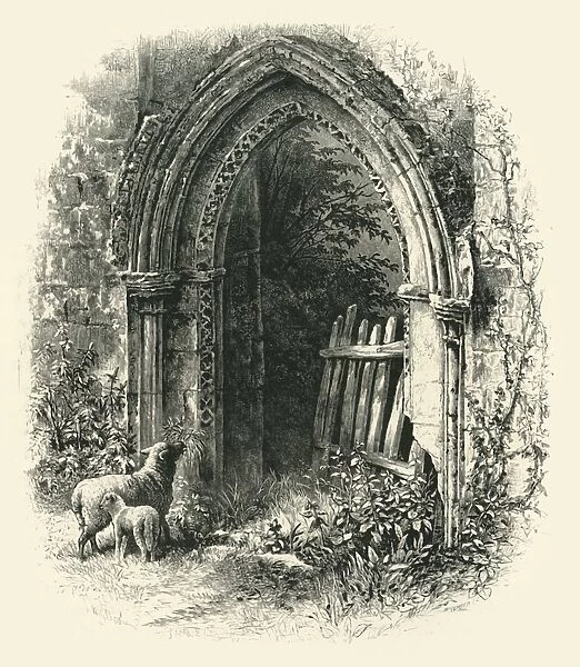 Doorway at Rivaux Abbey, c1870