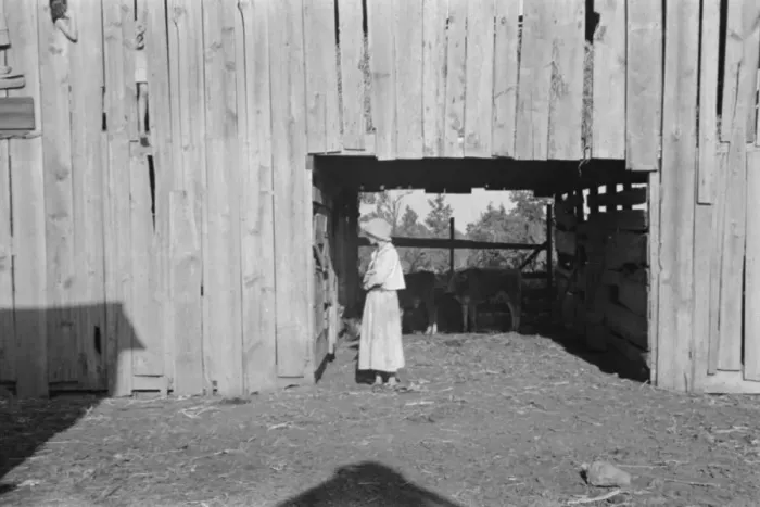 Framed Print : Dora Mae Tengle, sharecroppers daughter, Hale County, Alabama, 1936. Creator: Walker Evans Framed Print : Dora Mae Tengle, sharecroppers daughter, Hale County, Alabama, 1936. Creator: Walker Evans