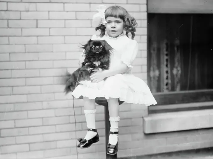 Framed Print : Dorothy Lulow & Sing Bell, between c1910 and c1915. Creator: Bain News Service Framed Print : Dorothy Lulow & Sing Bell, between c1910 and c1915. Creator: Bain News Service