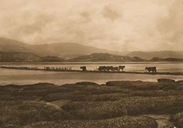 Framed Print : The Dovey at Ynyslas, 1902 Framed Print : The Dovey at Ynyslas, 1902