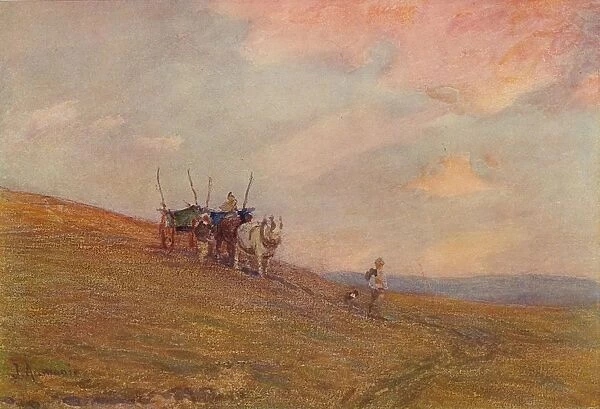 On the Downs Near Harting, c1870-1906, (1906). Creator: James Aumonier