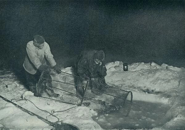 Dr. Atkinson and Clissold Hauling Up The Fish-Trap, 28 May 1911, (1913). Artist