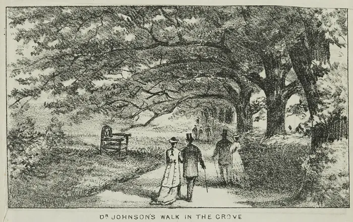 Framed Print : Dr Johnson's Walk in the Grove at Alexandra Palace, 19th century. Creator: Unknown. Dr Johnson's Walk in the Grove at Alexandra Palace, 19th century. Creator: Unknown Framed Print : Dr Johnson's Walk in the Grove at Alexandra Palace, 19th century. Creator: Unknown. Dr Johnson's Walk in the Grove at Alexandra Palace, 19th century. Creator: Unknown