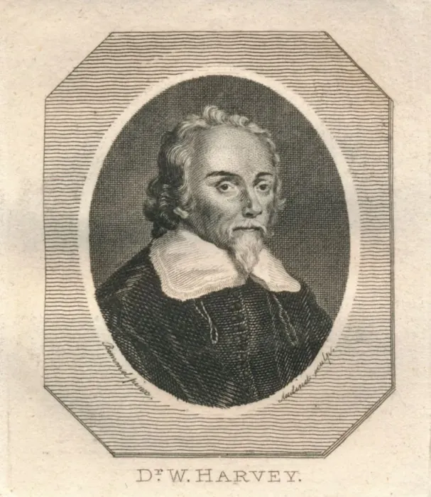 Framed Print : Dr. W. Harvey, c1800. Creator: Philip Audinet Framed Print : Dr. W. Harvey, c1800. Creator: Philip Audinet