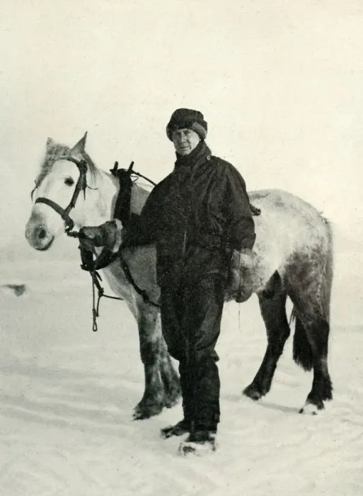 Framed Print : Dr. Wilson and Pony Nobby, c1911, (1913). Artist: Herbert Ponting Framed Print : Dr. Wilson and Pony Nobby, c1911, (1913). Artist: Herbert Ponting