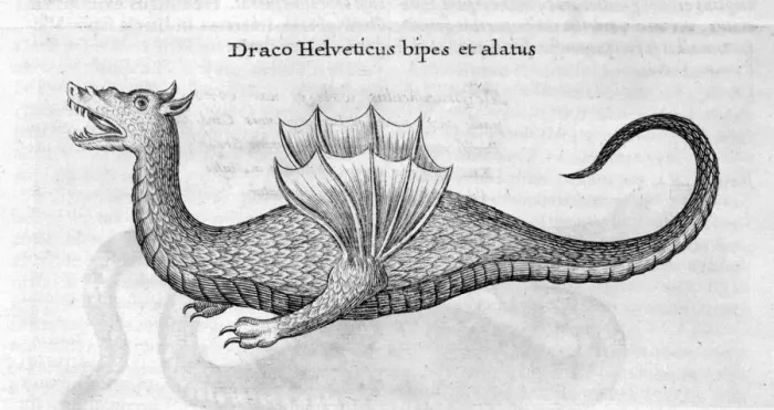 Framed Print : Dragon, 1678. Artist: Athanasius Kircher Framed Print : Dragon, 1678. Artist: Athanasius Kircher