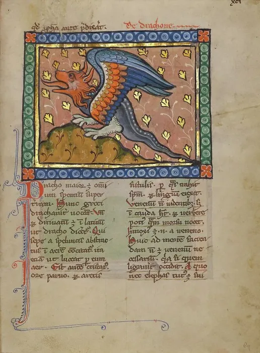 Framed Print : A Dragon; Bestiary, about 1270. Creator: Unknown Framed Print : A Dragon; Bestiary, about 1270. Creator: Unknown