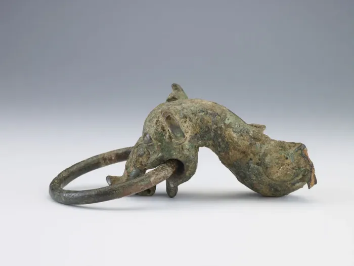 Framed Print : Dragon-head handle and ring (fragment), Zhou dynasty, ca. 1050-221 BCE. Creator: Unknown Framed Print : Dragon-head handle and ring (fragment), Zhou dynasty, ca. 1050-221 BCE. Creator: Unknown