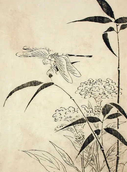 Framed Print : Dragonfly, Coxcomb and Bamboo, Printed 1762. Creator: Miyazaki Yuzen Framed Print : Dragonfly, Coxcomb and Bamboo, Printed 1762. Creator: Miyazaki Yuzen