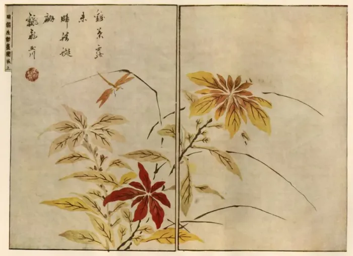 Framed Print : Dragonfly with plants, 1746, (1924). Creator: Ooka Shunboku Framed Print : Dragonfly with plants, 1746, (1924). Creator: Ooka Shunboku