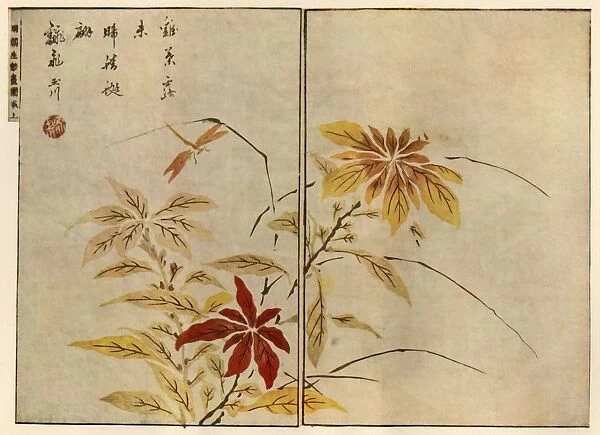 Dragonfly with plants, 1746, (1924). Creator: Ooka Shunboku