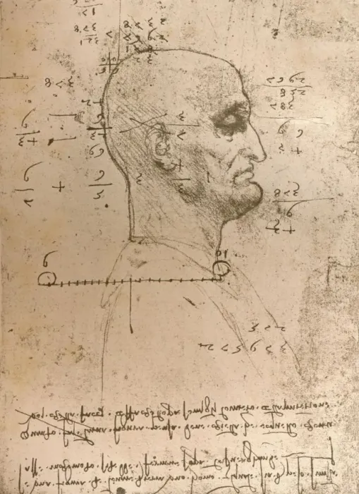 Framed Print : Drawing of the head of a criminal, c1472-c1519 (1883). Artist: Leonardo da Vinci Framed Print : Drawing of the head of a criminal, c1472-c1519 (1883). Artist: Leonardo da Vinci