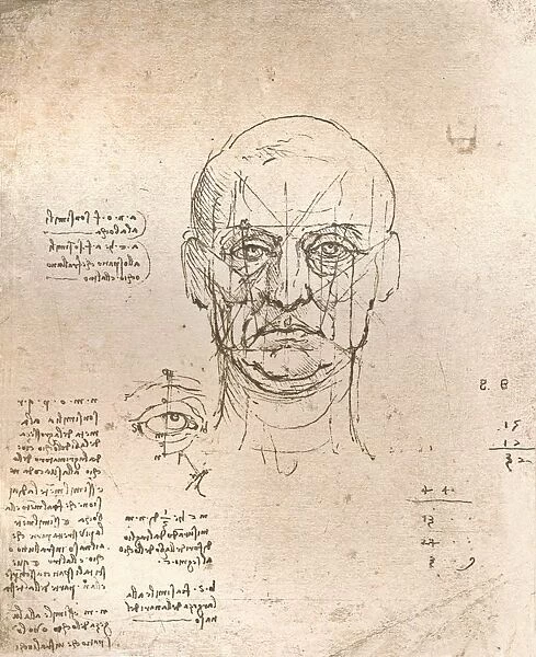 Drawing illustrating the theory of the proportions in the human figure, c1472-c1519 (1883). Artist: Leonardo da Vinci