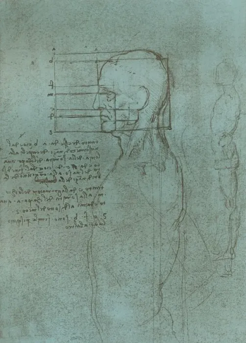 Framed Print : Drawing illustrating the theory of the proportions of the human figure, c1472-c1519 (1883). Artist: Leonardo da Vinci Framed Print : Drawing illustrating the theory of the proportions of the human figure, c1472-c1519 (1883). Artist: Leonardo da Vinci
