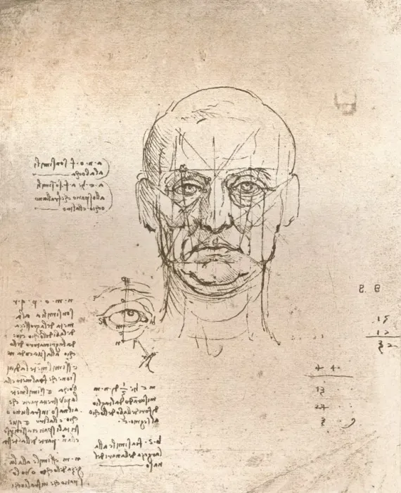 Framed Print : Drawing illustrating the theory of the proportions in the human figure, c1472-c1519 (1883). Artist: Leonardo da Vinci Framed Print : Drawing illustrating the theory of the proportions in the human figure, c1472-c1519 (1883). Artist: Leonardo da Vinci