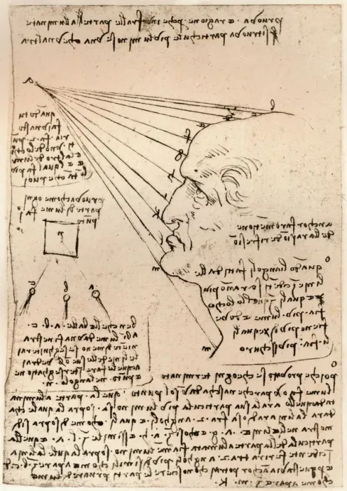 Framed Print : Drawing of a male head, illustrating the practice of painting, c1472-c1519 (1883). Artist: Leonardo da Vinci Framed Print : Drawing of a male head, illustrating the practice of painting, c1472-c1519 (1883). Artist: Leonardo da Vinci