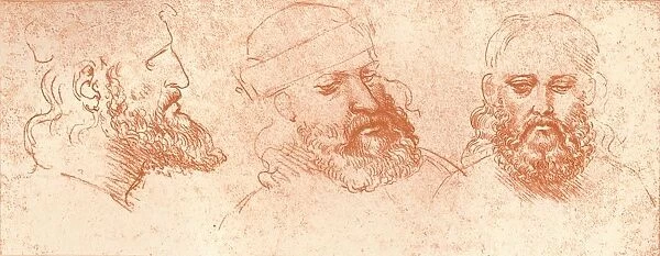 Drawing of oriental heads, in red chalk, c1472-c1519 (1883). Artist: Leonardo da Vinci