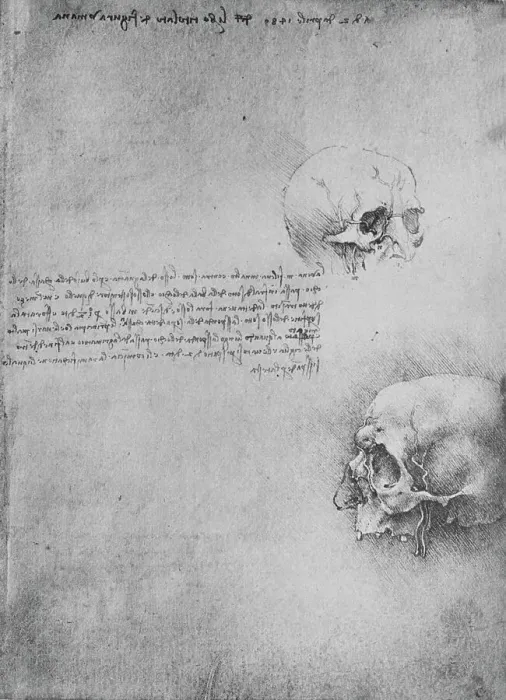 Framed Print : Two Drawings of the Bony Structure of the Head, c1480 (1945). Artist: Leonardo da Vinci Framed Print : Two Drawings of the Bony Structure of the Head, c1480 (1945). Artist: Leonardo da Vinci