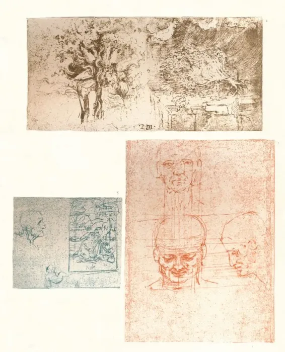 Framed Print : Three drawings, c1472-c1519 (1883). Artist: Leonardo da Vinci Framed Print : Three drawings, c1472-c1519 (1883). Artist: Leonardo da Vinci