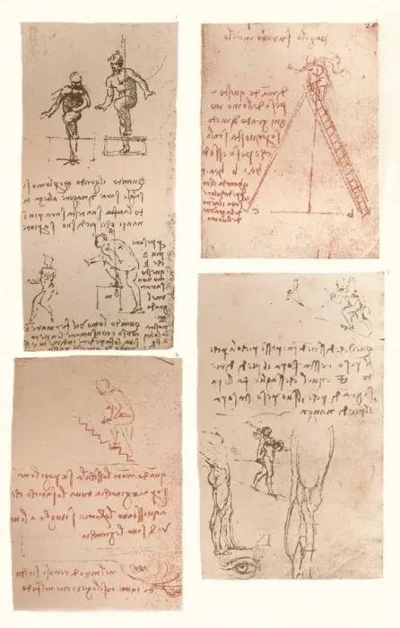 Framed Print : Four drawings illustrating the theory of the movements of the human figure, c1472-c1519 (1883). Artist: Leonardo da Vinci Framed Print : Four drawings illustrating the theory of the movements of the human figure, c1472-c1519 (1883). Artist: Leonardo da Vinci