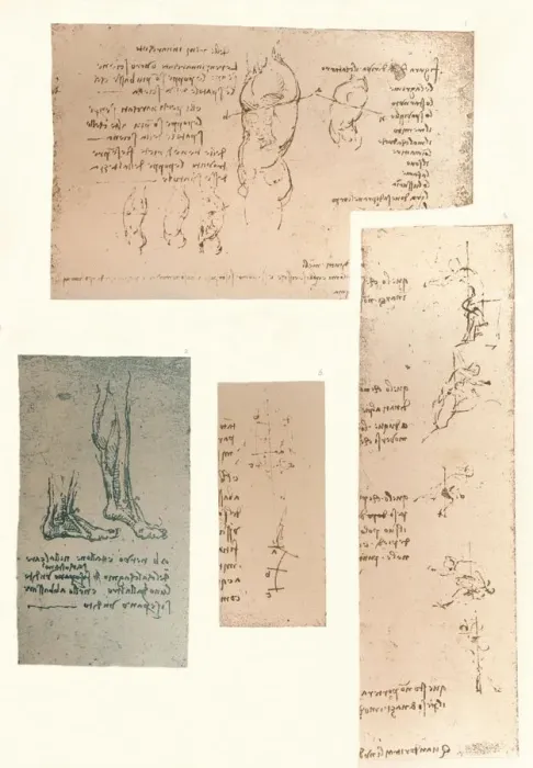 Framed Print : Four drawings illustrating the theory of the movements of the human figure, c1472-c1519 (1883). Artist: Leonardo da Vinci Framed Print : Four drawings illustrating the theory of the movements of the human figure, c1472-c1519 (1883). Artist: Leonardo da Vinci