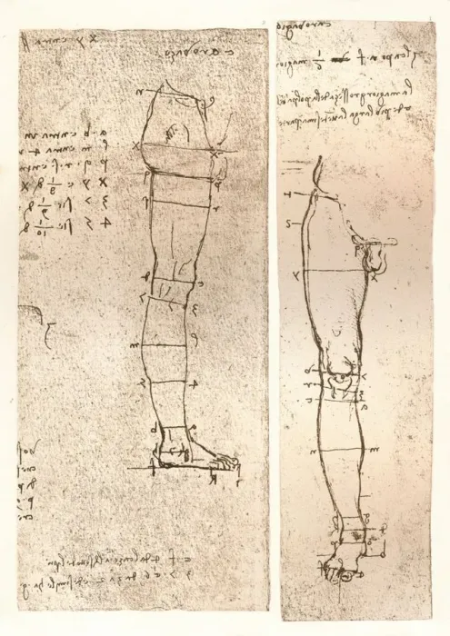 Framed Print : Two drawings illustrating the theory of the proportions of the human figure, c1472-c1519 (1883). Artist: Leonardo da Vinci Framed Print : Two drawings illustrating the theory of the proportions of the human figure, c1472-c1519 (1883). Artist: Leonardo da Vinci