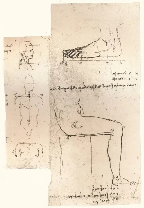 Framed Print : Two drawings illustrating the theory of the proportions of the human figure, c1472-c1519 (1883). Artist: Leonardo da Vinci Framed Print : Two drawings illustrating the theory of the proportions of the human figure, c1472-c1519 (1883). Artist: Leonardo da Vinci