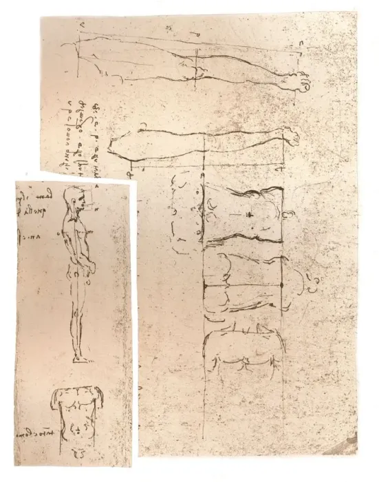 Framed Print : Two drawings illustrating the theory of the proportions of the human figure, c1472-c1519 (1883). Artist: Leonardo da Vinci Framed Print : Two drawings illustrating the theory of the proportions of the human figure, c1472-c1519 (1883). Artist: Leonardo da Vinci