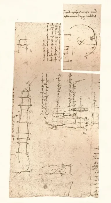 Framed Print : Two drawings illustrating the theory of the proportions of the human figure, c1472-c1519 (1883). Artist: Leonardo da Vinci Framed Print : Two drawings illustrating the theory of the proportions of the human figure, c1472-c1519 (1883). Artist: Leonardo da Vinci