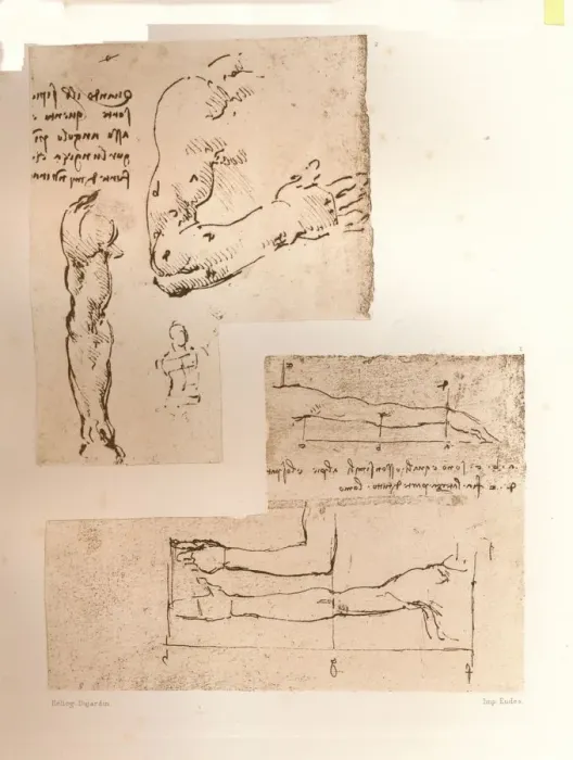 Framed Print : Two drawings illustrating the theory of the proportions of the human figure, c1472-c1519 (1883). Artist: Leonardo da Vinci Framed Print : Two drawings illustrating the theory of the proportions of the human figure, c1472-c1519 (1883). Artist: Leonardo da Vinci