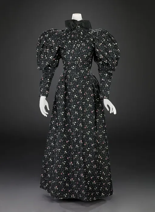 Framed Print : Dress (Bodice, Skirt, Petticoat), 1894-1896. Creator: Unknown Framed Print : Dress (Bodice, Skirt, Petticoat), 1894-1896. Creator: Unknown