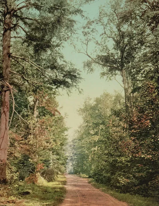 Framed Print : The Drive on Presque Isle [Park], Lake Superior, c1898. Creator: Unknown
