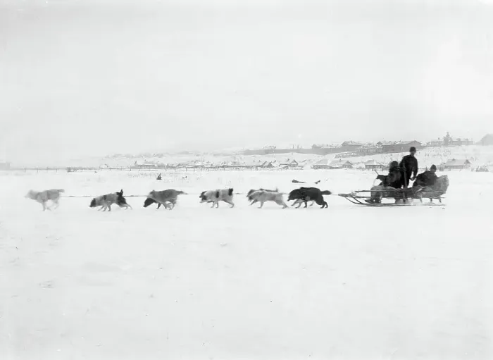 Framed Print : Driving Dogs, 1890. Creator: Ivan Nikolaevich Krasnov Framed Print : Driving Dogs, 1890. Creator: Ivan Nikolaevich Krasnov