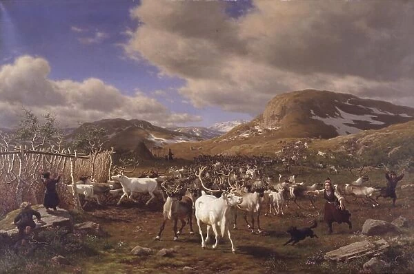 Driving a reindeer herd to milking, high mountains north of Roros, 1875. Creator: Carl Henrik Bogh