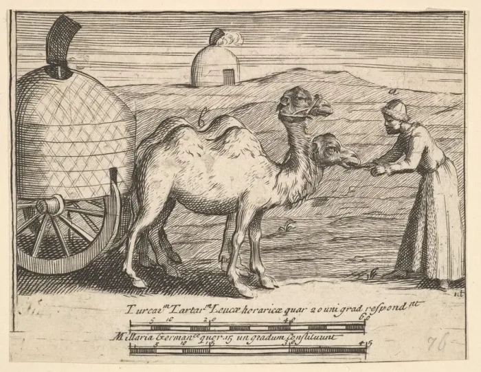 Framed Print : Two Dromedaries (Aubry de La Mottrayes Travels throughout Europe Framed Print : Two Dromedaries (Aubry de La Mottrayes Travels throughout Europe