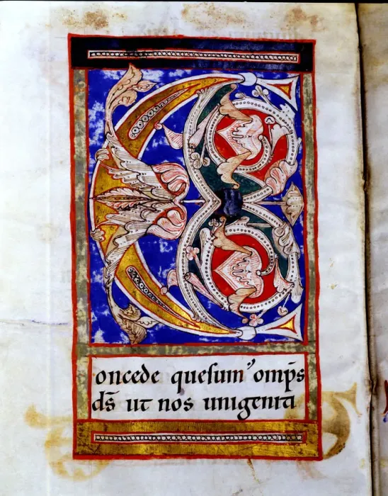 Framed Print : Drop cap C illuminated with floral motives in the Sacramentary of San Juan de las Abadesas Framed Print : Drop cap C illuminated with floral motives in the Sacramentary of San Juan de las Abadesas