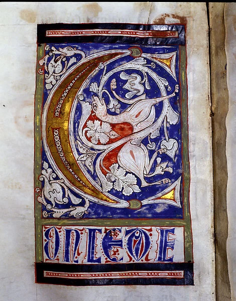 Drop cap C illuminated with a quadruped and floral motifs in the Sacramentary